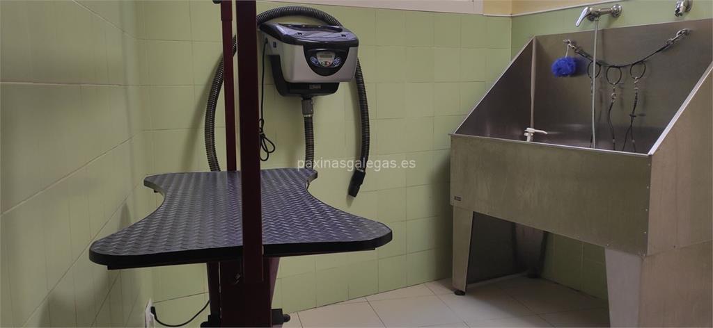 A Estación Centro Veterinario imagen 6