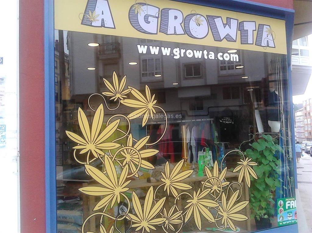 A Growta imagen 10