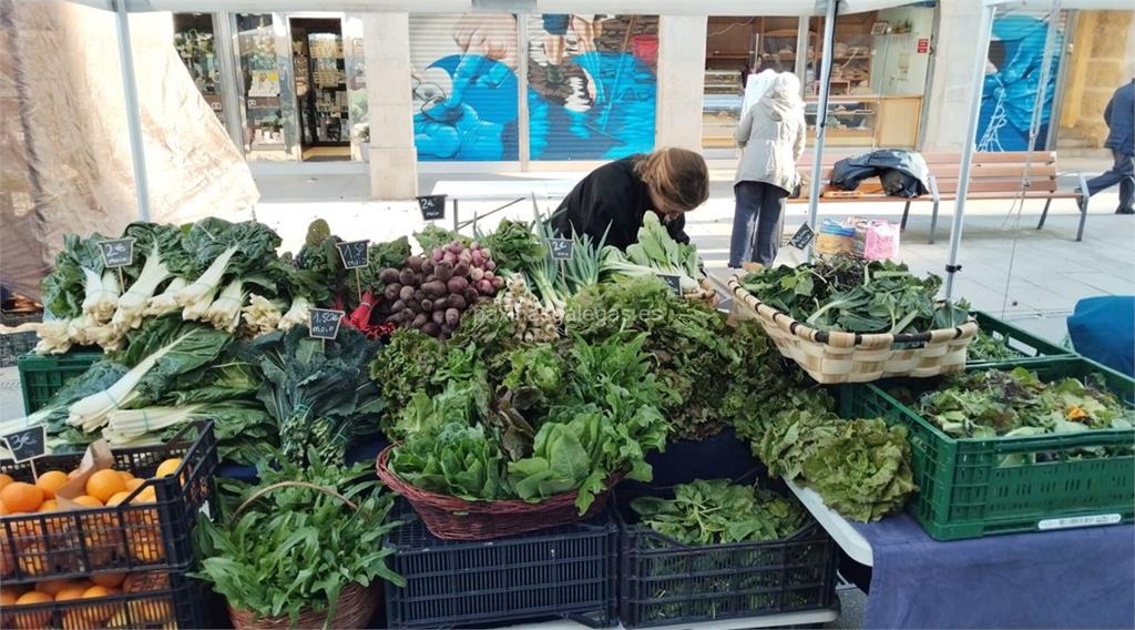 imagen principal A Horta da Gándara