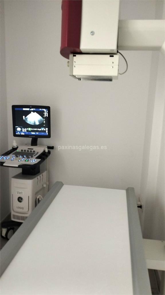 A Raposeira Centro Veterinario imagen 15