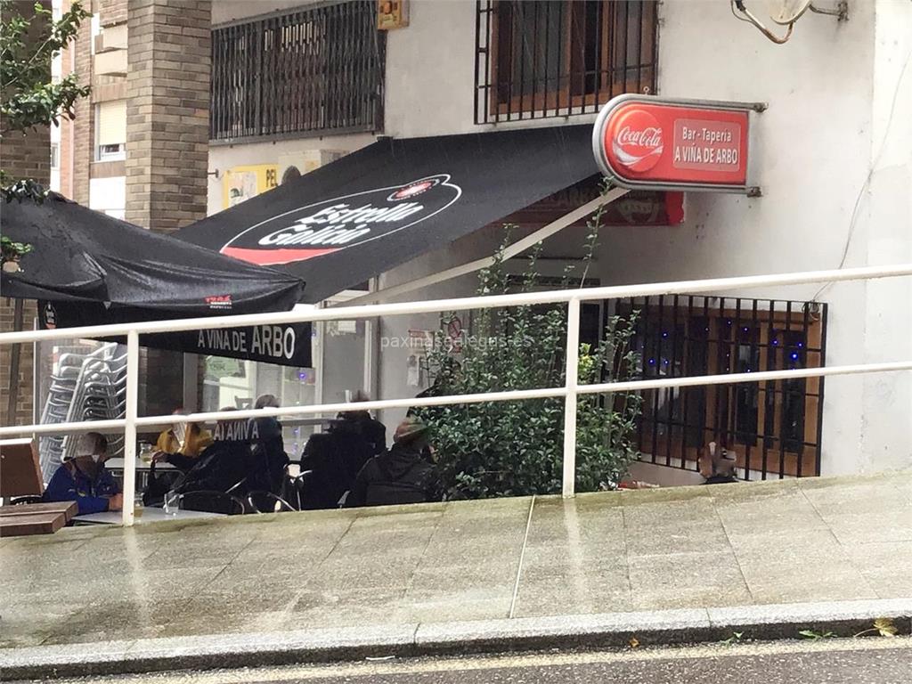 imagen principal A Viña de Arbo