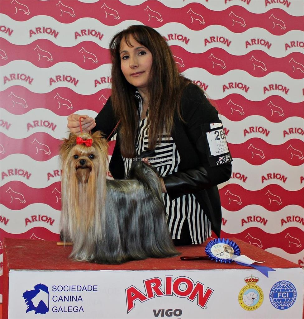 Abanico de Seda imagen 8