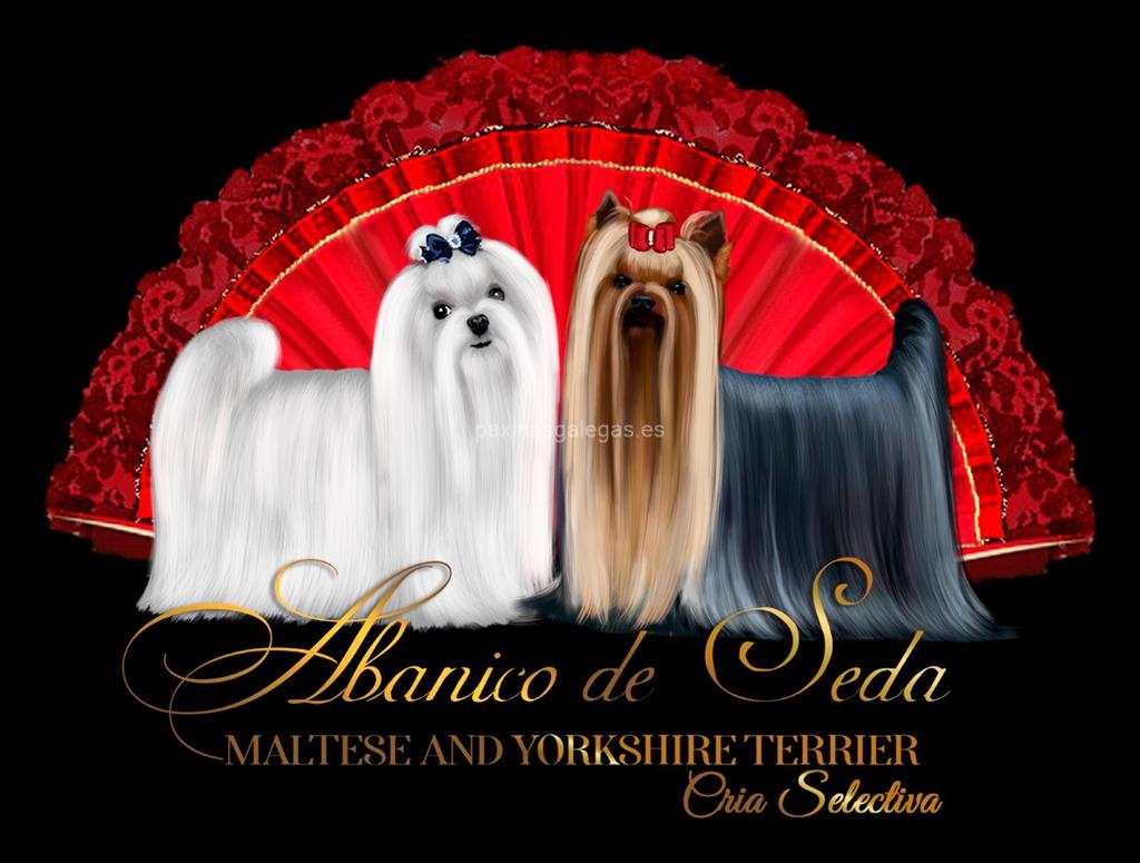 logotipo Abanico de Seda