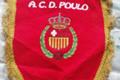 imagen principal A.C.D. Poulo