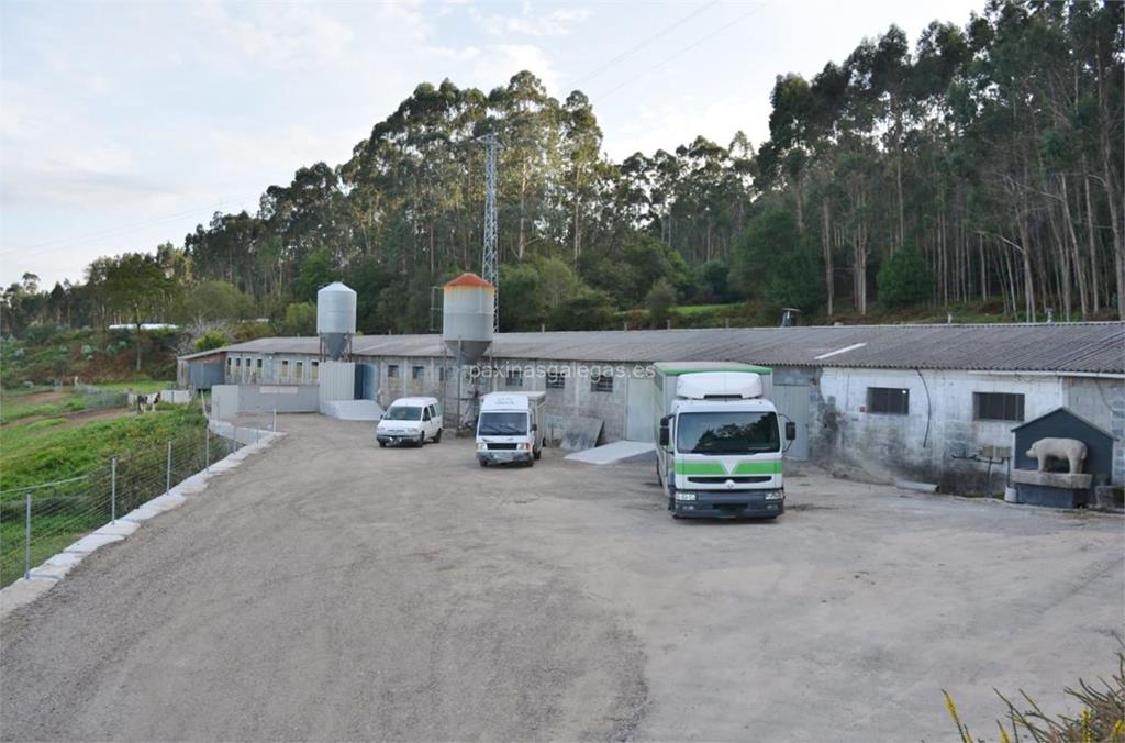 imagen principal AD