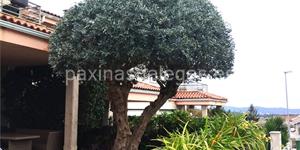 Foto de la empresa (3)