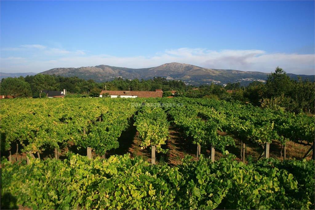 imagen principal Adega do Vimbio (Baenis / Albariño)