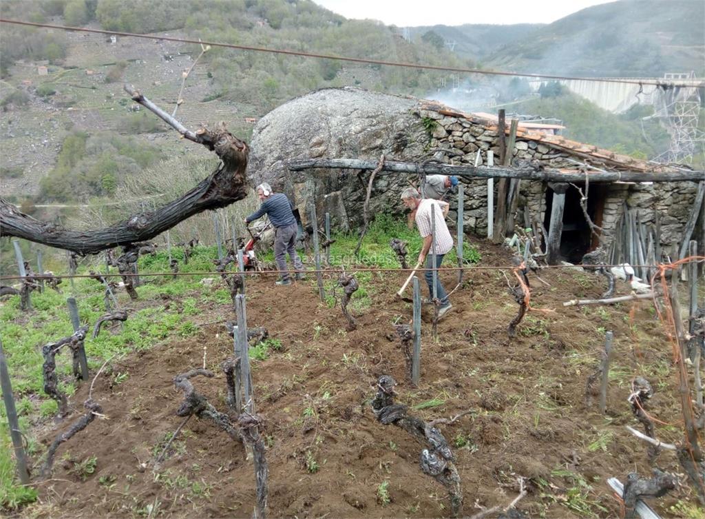 imagen principal Adega Gozo, S.L. (Mencía)