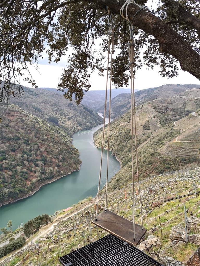 imagen principal Adega Terra Brava (Mencía, Caíño Longo y Godello)