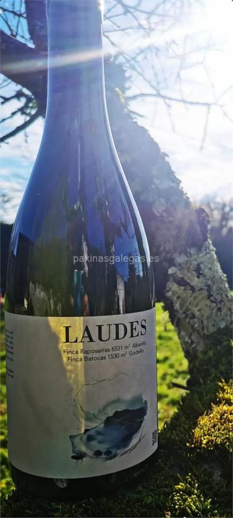 imagen principal Adegas Laudes (Albariño, Godello y Caíño Blanco)