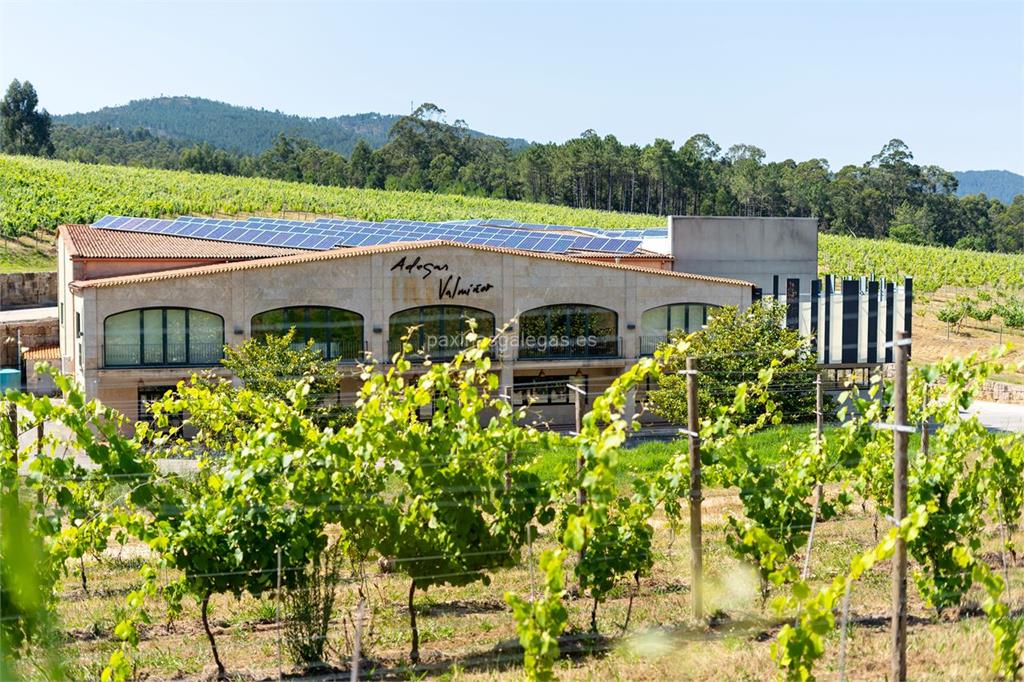 imagen principal Adegas Valmiñor (Serra da Estrela / Albariño)