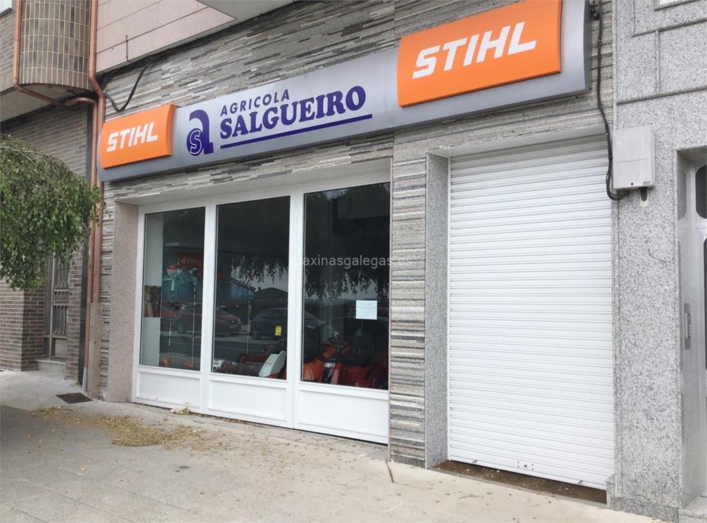 imagen principal Agrícola Salgueiro (Stihl)