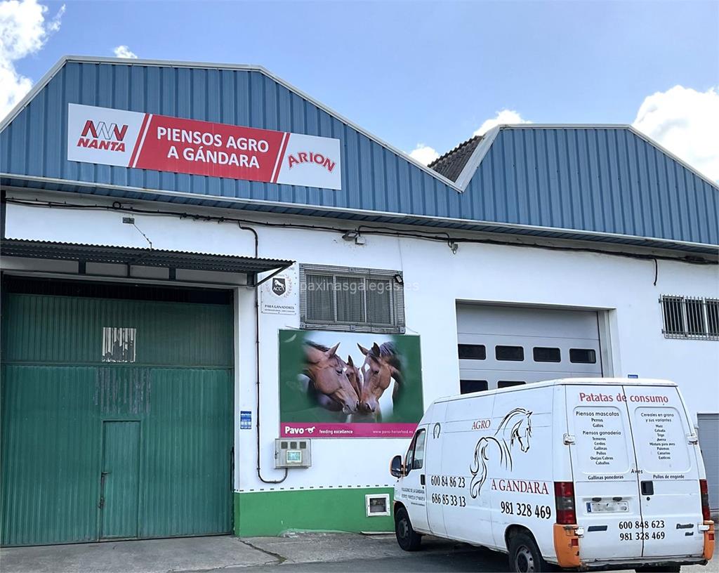 imagen principal Agro A Gándara