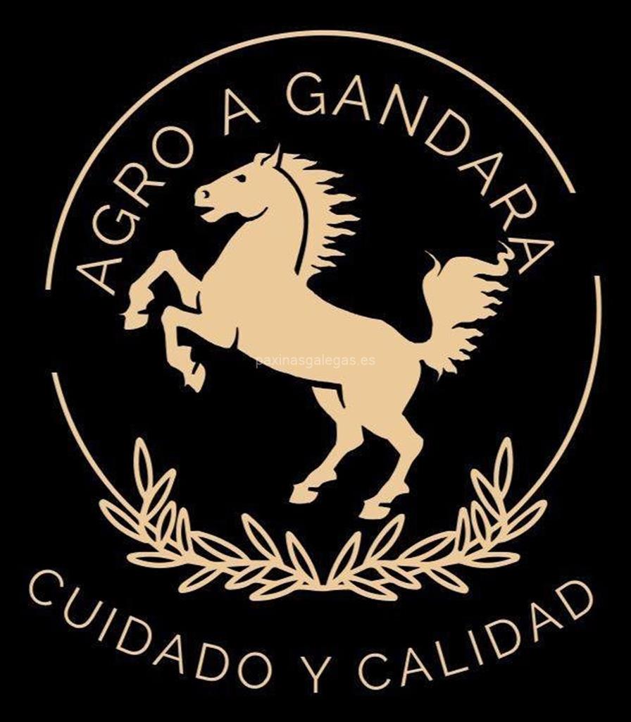 logotipo Agro A Gándara