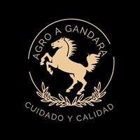 Logotipo Agro A Gándara
