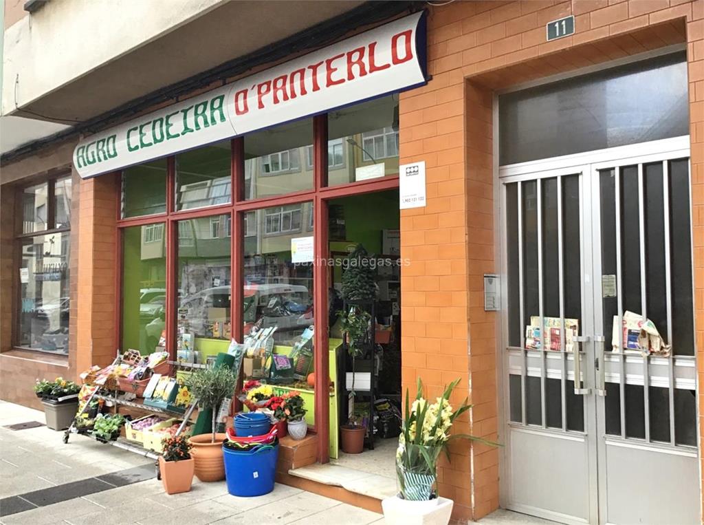 imagen principal Agro Cedeira - O Panterlo