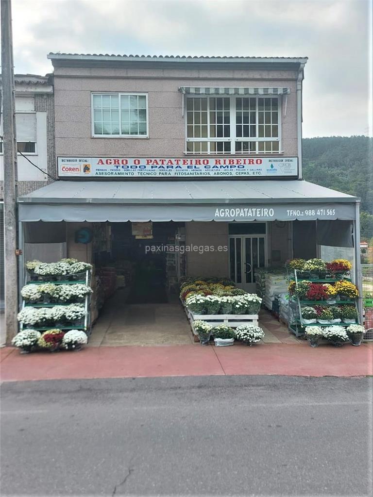 imagen principal Agro O Patateiro