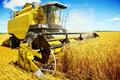 imagen 1 Agro Vilanoviña