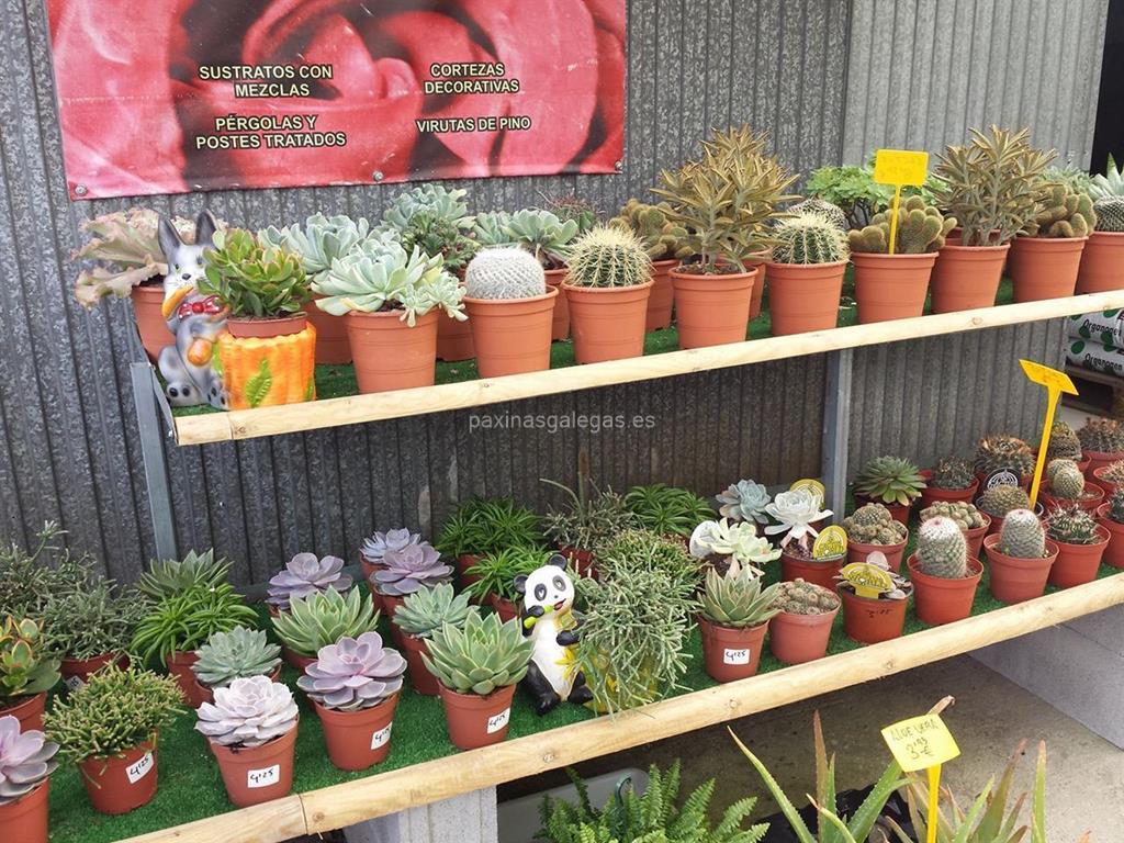 Agro-Xardín imagen 11