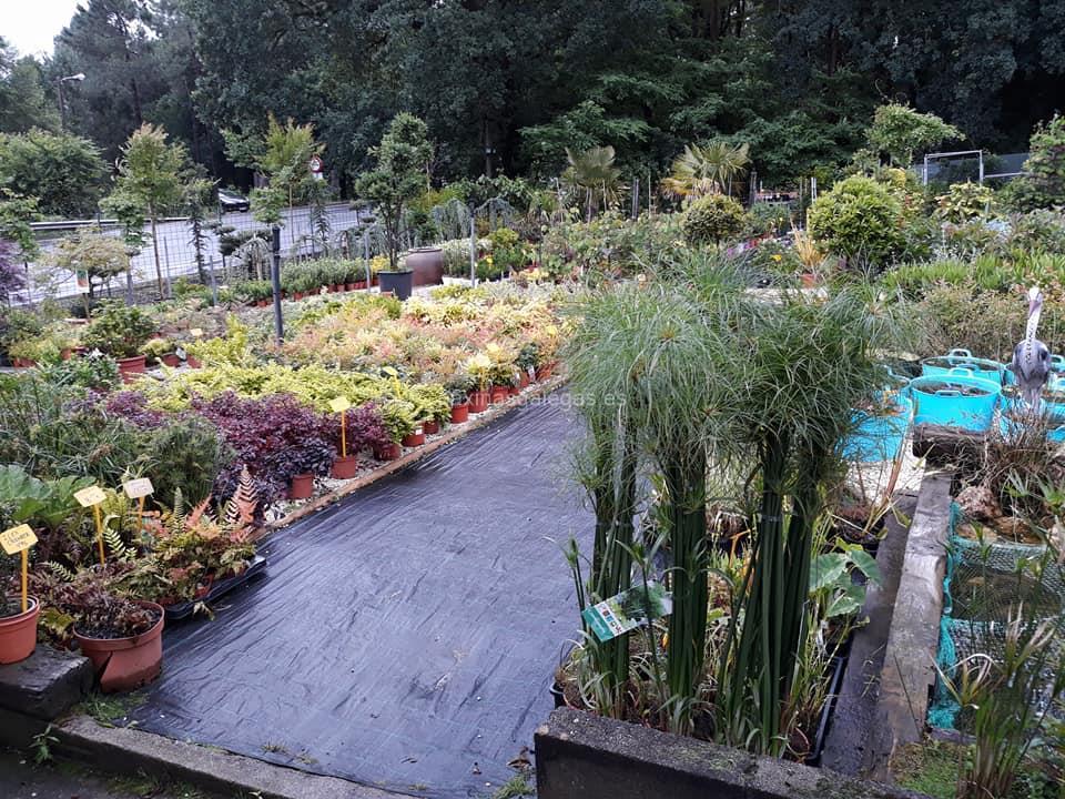 Agro-Xardín imagen 14