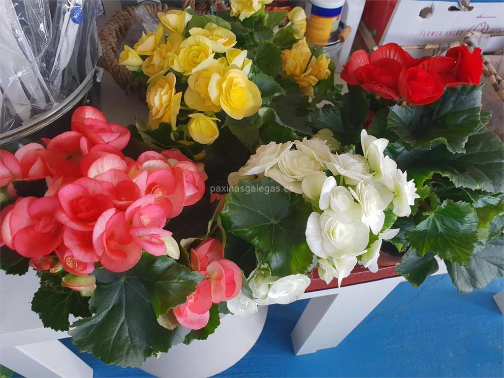 Agro-Xardín imagen 16