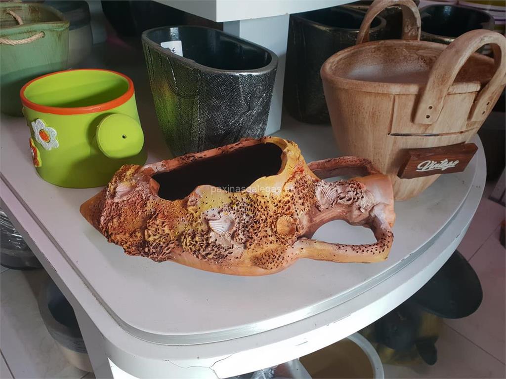 Agro-Xardín imagen 17