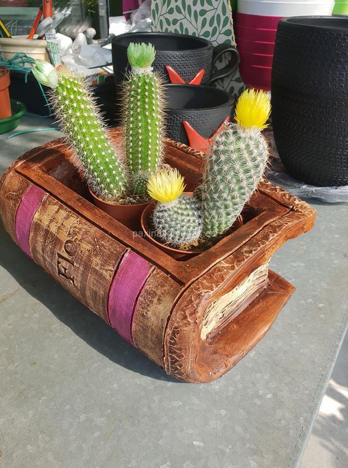 Agro-Xardín imagen 18