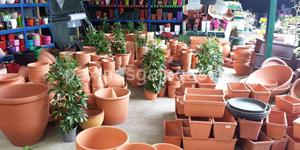 Foto de la empresa (1)