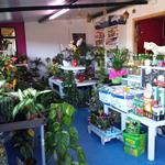 Foto de la empresa (2)