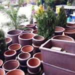 Foto de la empresa (4)