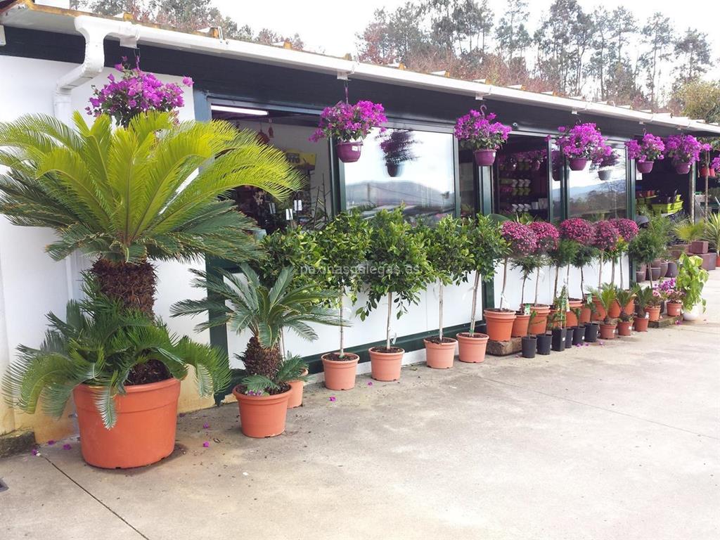 Agro-Xardín imagen 7