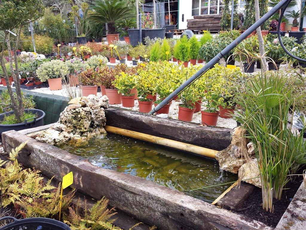 Agro-Xardín imagen 10