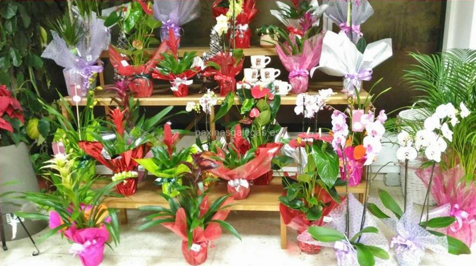 Agroflor imagen 12
