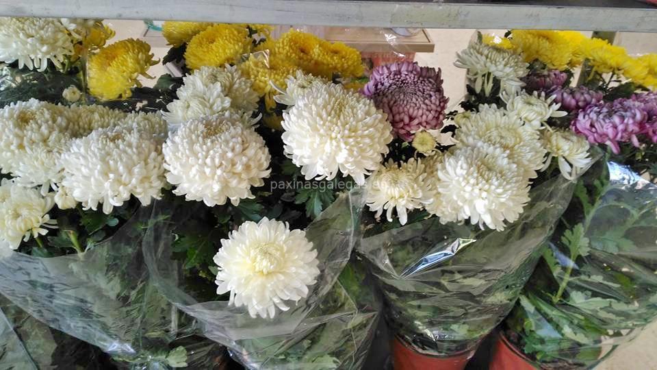 Agroflor imagen 19