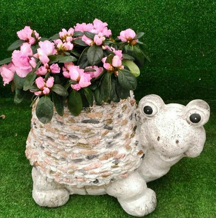 Agroflor imagen 8