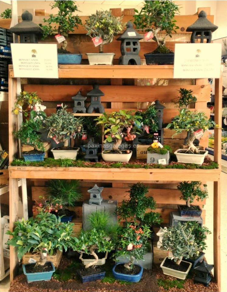 Agroflor imagen 9