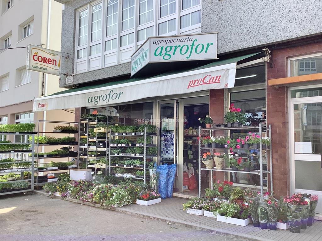 imagen principal Agrofor (Coren)