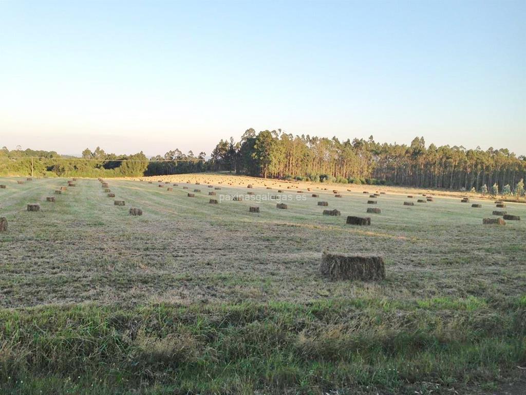 Agroforestal Xanceda imagen 12