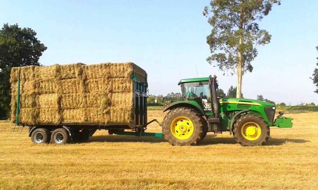 Agroforestal Xanceda imagen 13