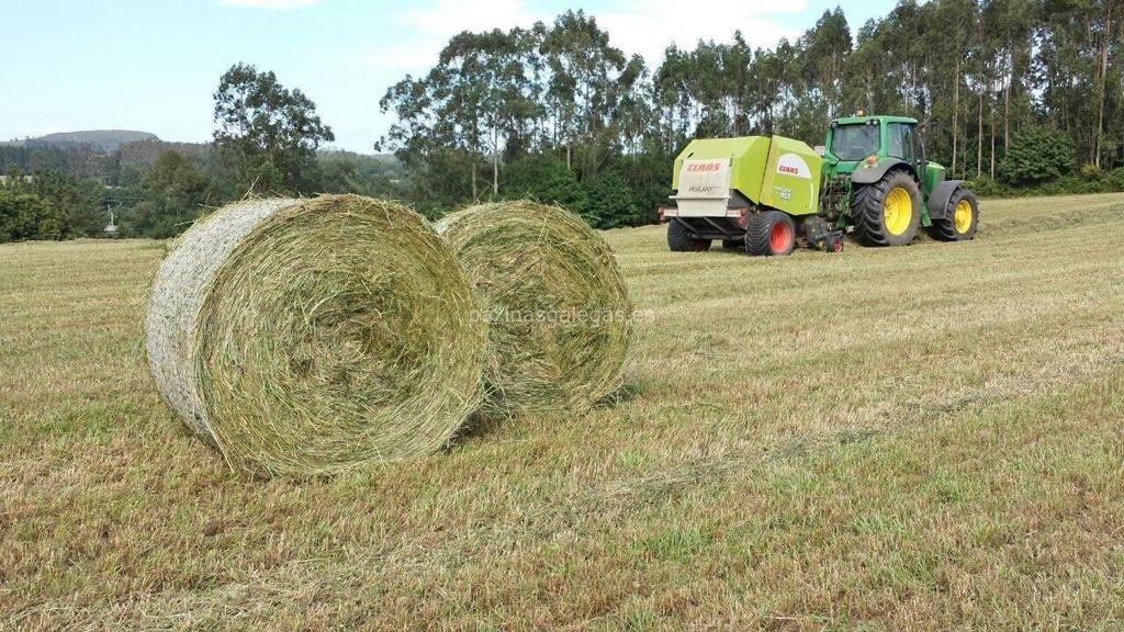 Agroforestal Xanceda imagen 14