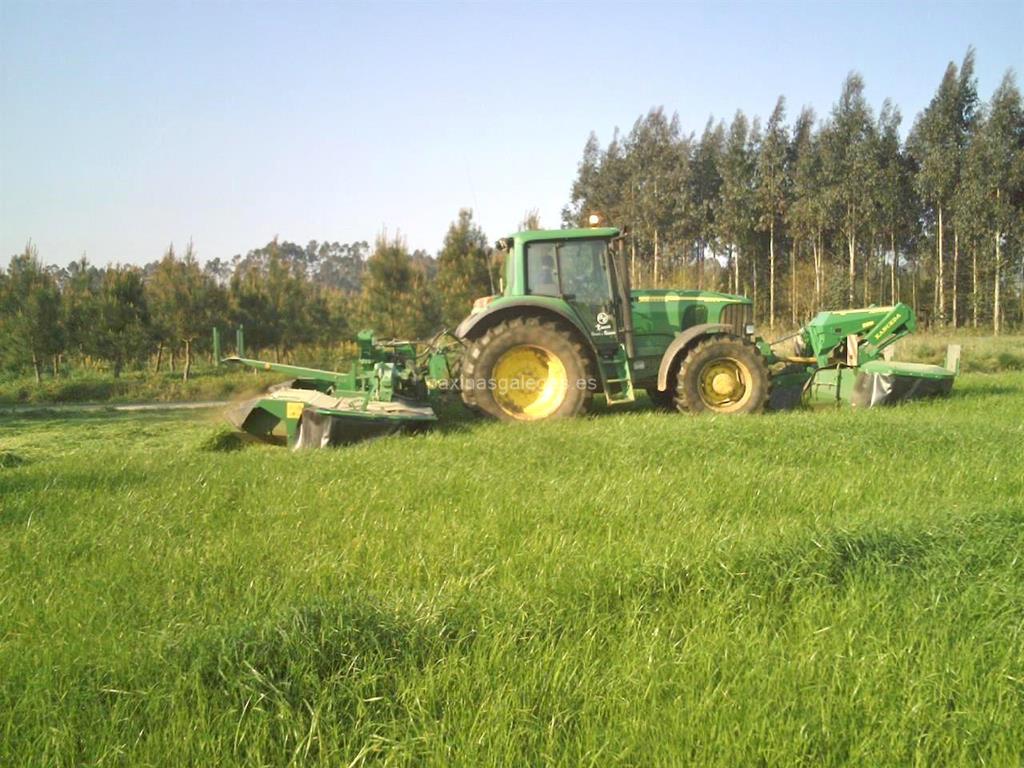 Agroforestal Xanceda imagen 16