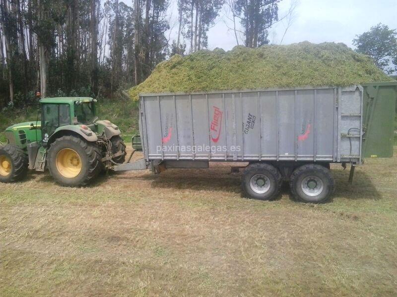 Agroforestal Xanceda imagen 19