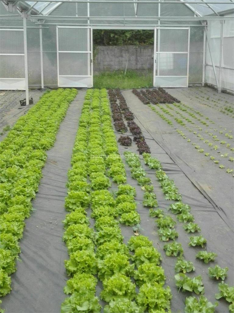 imagen principal Agronuquel