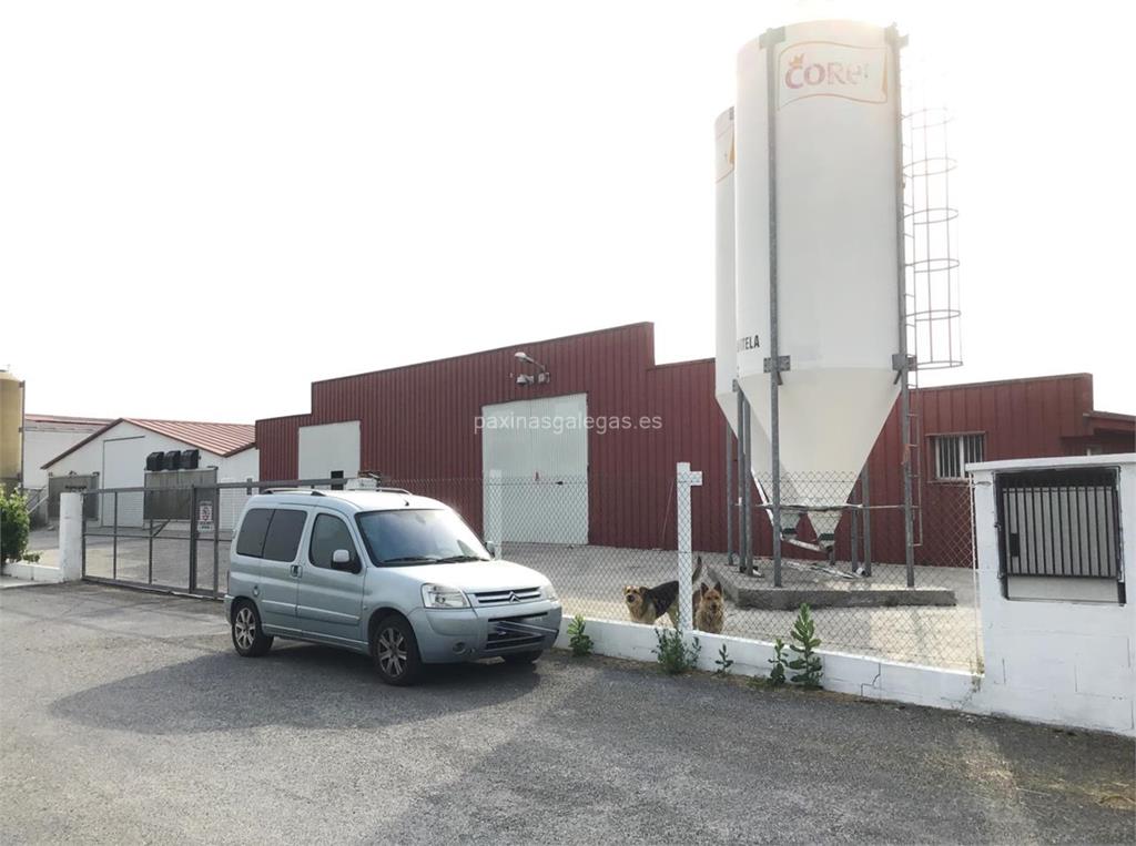 imagen principal Agropicados Antela