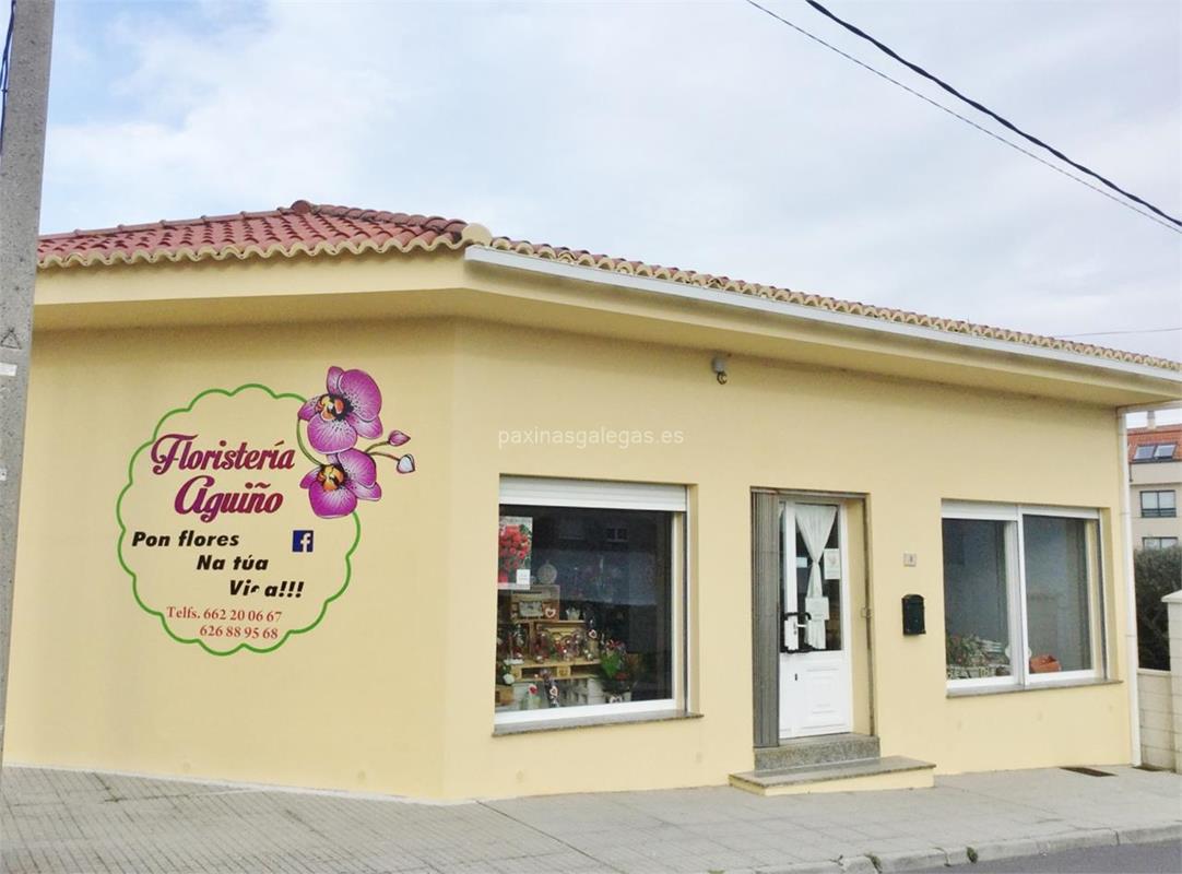Floristería Aguiño