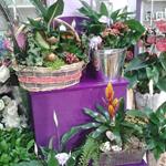 Foto de la empresa (2)