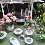 Foto de la empresa (4)