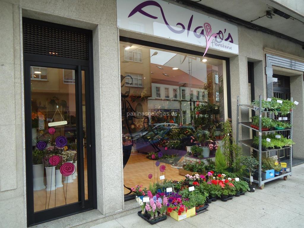 imagen principal Alagos