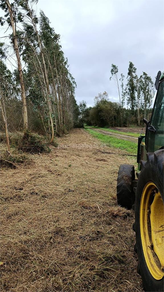 Alberto imagen 7