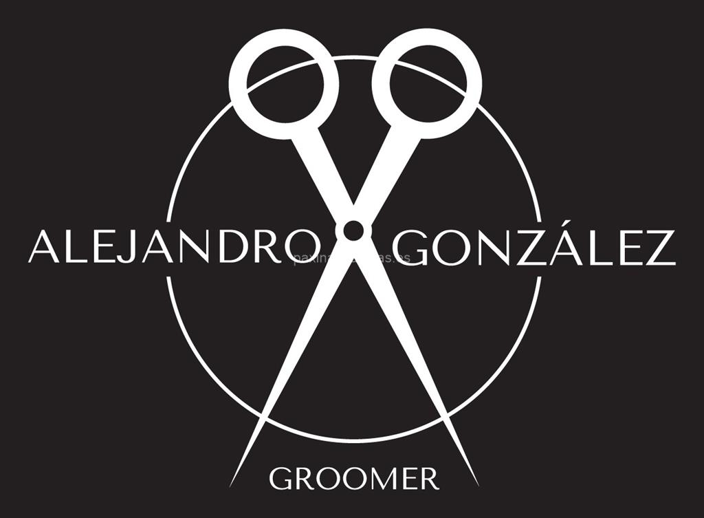 logotipo Alejandro González Groomer (Lenda)